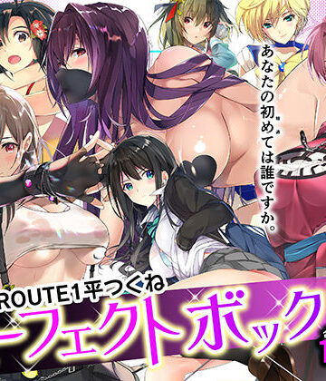 ROUTE1 平つくね パーフェクトボックス｜ROUTE1