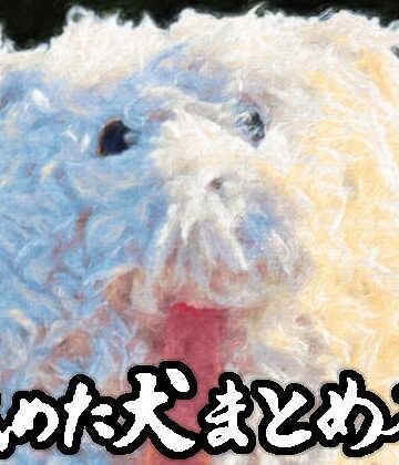 舐めた犬まとめ本｜舐めた犬