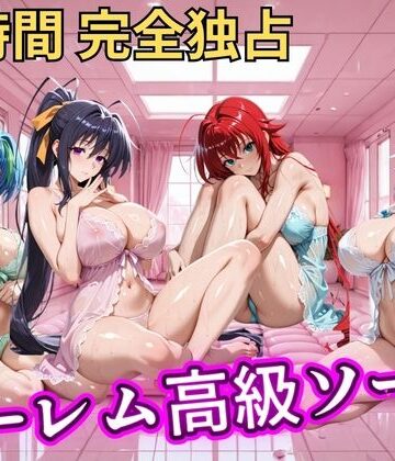 朝から晩までハーレム高級ソープ 【ハイスクールD×D】｜ヒロインズ