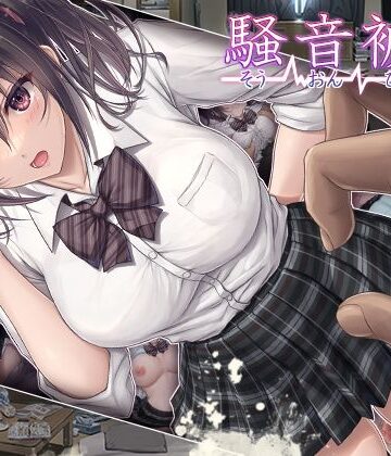 騒音被害｜エアリーソックス