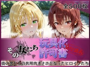 その女たち、玩具化許可証発行済み -街の男たちの共用肉オナホとなったヒロインたち- ティ〇ーユ＆御〇編｜みんなの陥落街