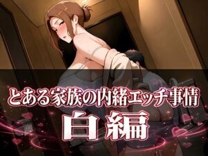 とある家族の内緒エッチ事情｜kana
